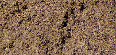 Grade 2 Topsoil