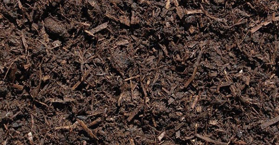 Compost