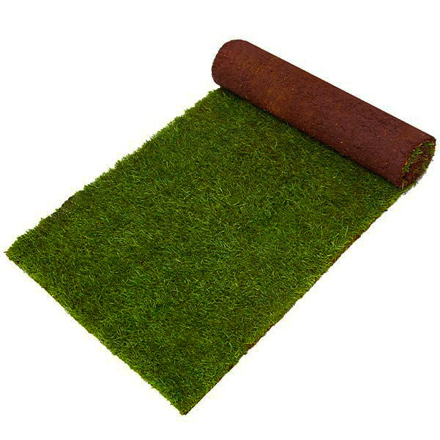 RHF Premium Turf